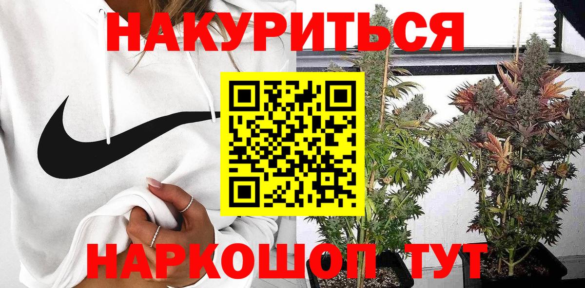 Бошки Шишки семена  Конопля VHQ  Вход с VPN  Фурманов  Каннабис Amnesia 